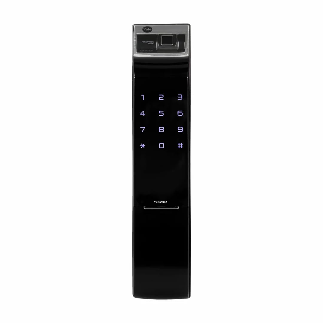 41nnP60qRXL._SL1080_.jpg