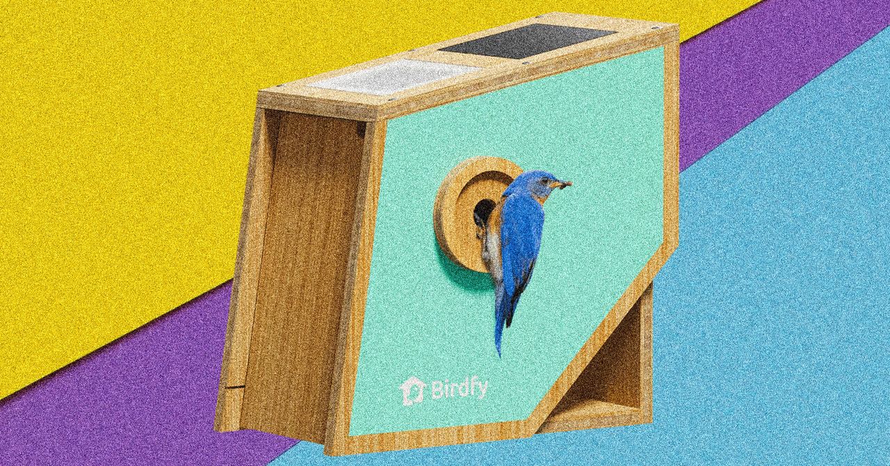 Birdfy Nest Polygon Smart Birdhouse Review: Primed for Pictures