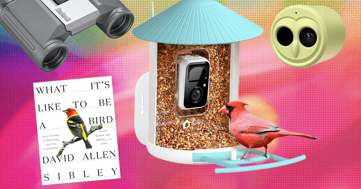 The 19 Best Tried and Tested Gifts for Bird Lovers (2025) The 19 Best Tried and Tested Gifts for Bird Lovers (2025)