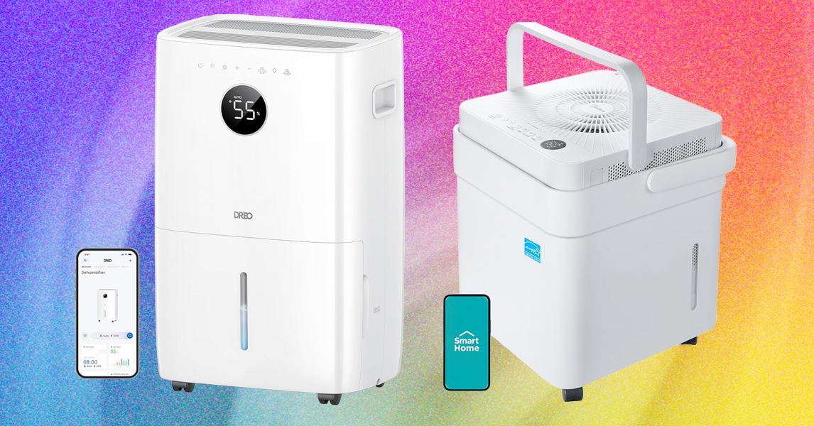 6 Best Dehumidifiers to Keep Your Home Mold-Free (2026) 6 Best Dehumidifiers to Keep Your Home Mold-Free (2026)