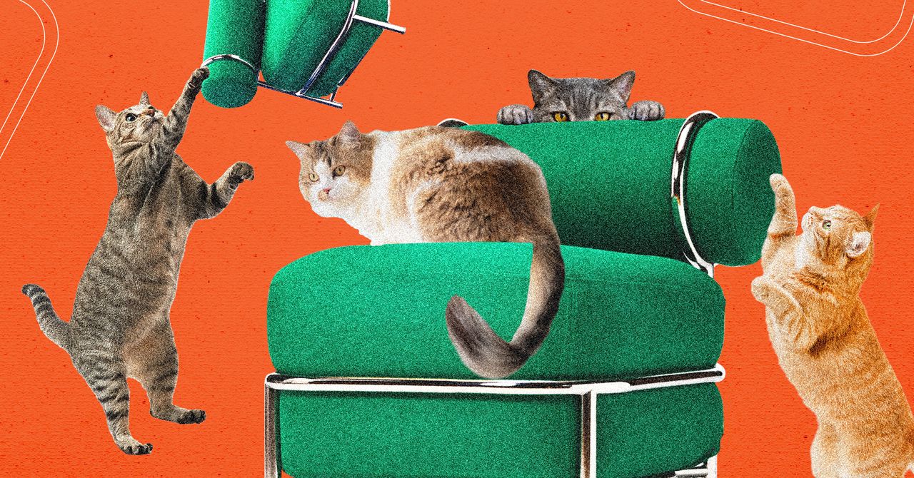 Ikea’s New Blow-Up Chair Was Tested by Cats Ikea’s New Blow-Up Chair Was Tested by Cats