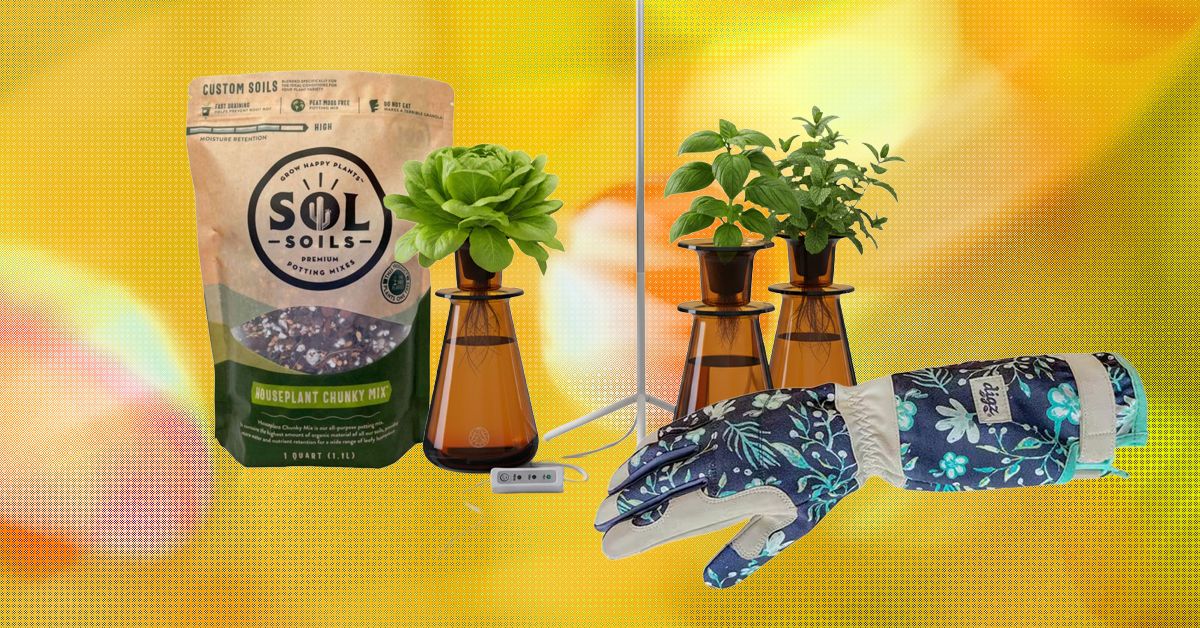 19 Best Gifts for Plant Lovers and Gardeners (2026) 19 Best Gifts for Plant Lovers and Gardeners (2026)